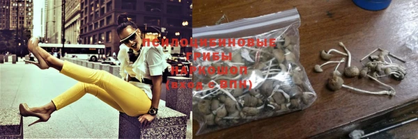 spice Балабаново