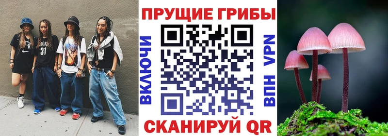 Псилоцибиновые грибы Psilocybe  Дорогобуж 