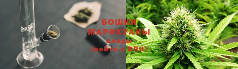 mega как войти  Дорогобуж  Бошки марихуана индика  где продают  